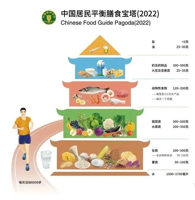 1651716995775943.jpg 膳食寶塔.jpg